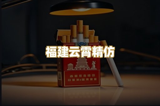 福建云霄精仿